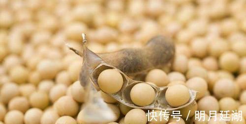 中性脂肪|高血脂的“清道夫”找到了，每天吃一点，清除血液垃圾，预防血栓