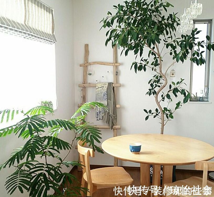 小两口之家,全屋布满绿植鲜花,把生活过成了诗,太美太治愈了