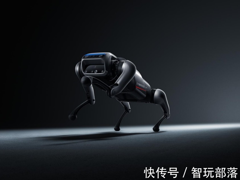 四足|仿生四足机器人!会是下一个风口吗?