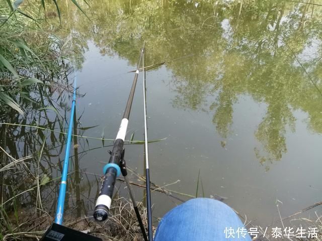 水体|钓鱼影响鱼情的重要因素,哪个排第一位,水温、溶氧量谁更厉害