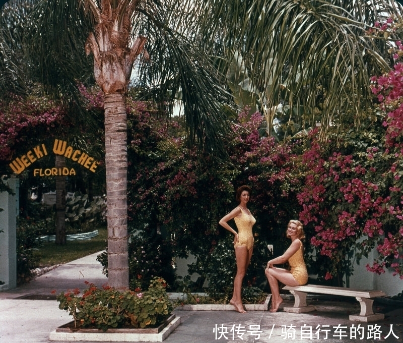 美丽|老照片 1959年美国水下舞蹈表演 美丽的美人鱼