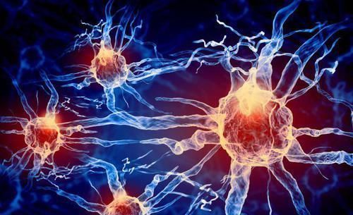 长寿|重大发现:中老年人适当“懒”一点更长寿!但要懒得遵循4个原则