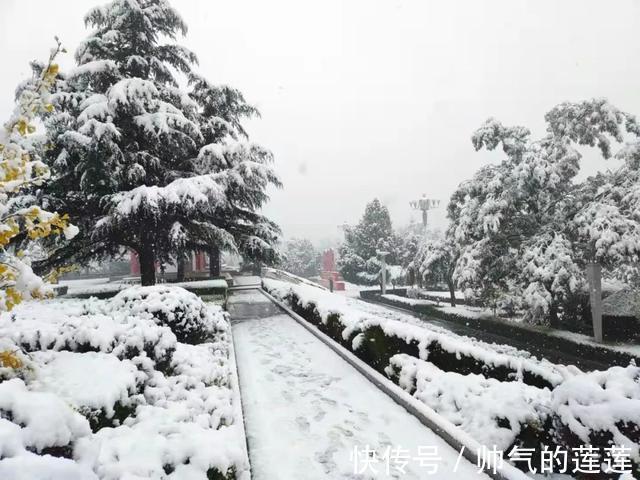 雪景|惊艳！平凉迎来入秋第一场雪，刷爆朋友圈！