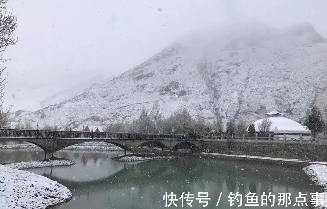 水温|冬天钓鱼,出鱼的钓点怎么选?有四个原则