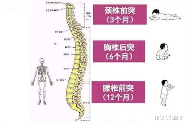 宝宝|宝宝什么时候能用枕头？美国儿科学会给出建议，看特征更准确