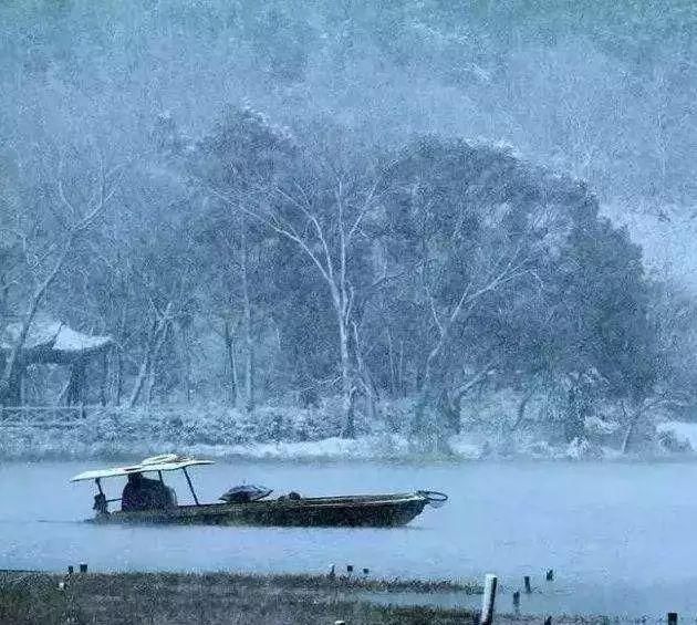 飘进|大雪飘进唐诗里