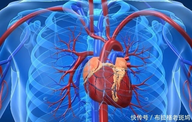 血管洗个澡,健康活到老,不妨每天“洗”1次,现在知道还不晚!