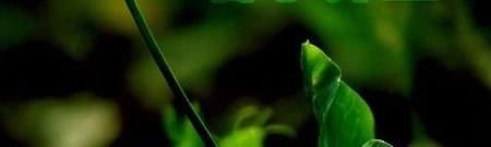 春季養(yǎng)生，第一水，一果，一粥，一菜，一肉，順應時節(jié)，家人受益