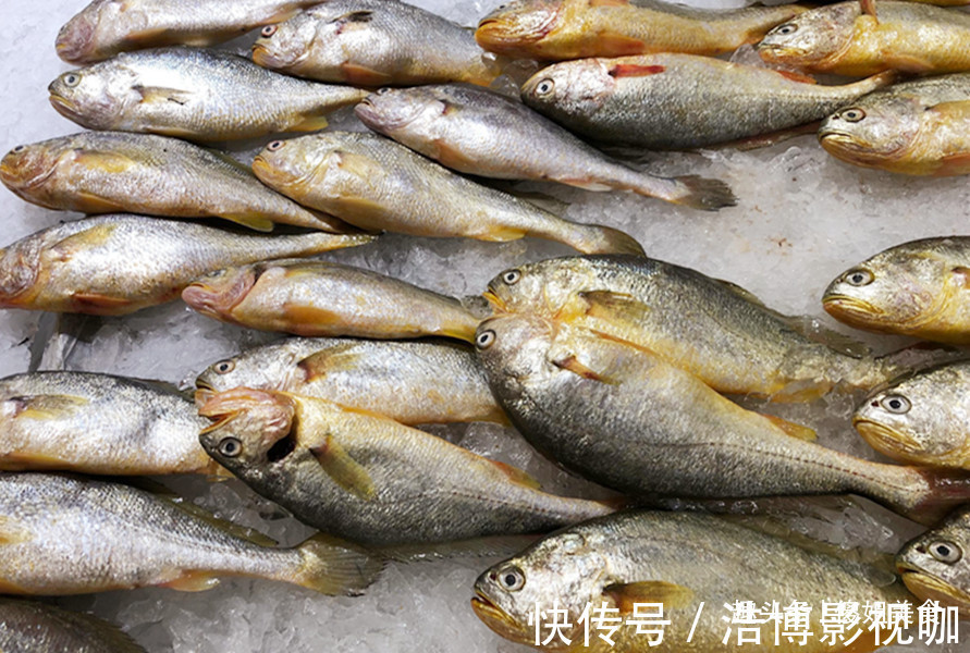 想吃鱼，就买此6种，目前无法人工养殖，都是野生鱼，放心吃吧