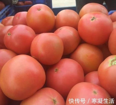 种植户|西红柿打没打激素,种植户教你一招,牢记这“3不买”,一眼看出