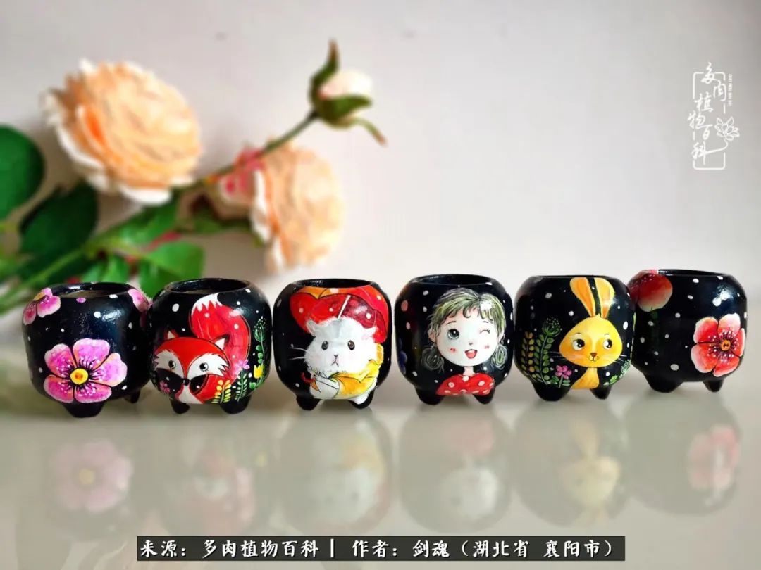花盆|当美丽的多肉邂逅漂亮的手绘花盆,会是怎样的一种美