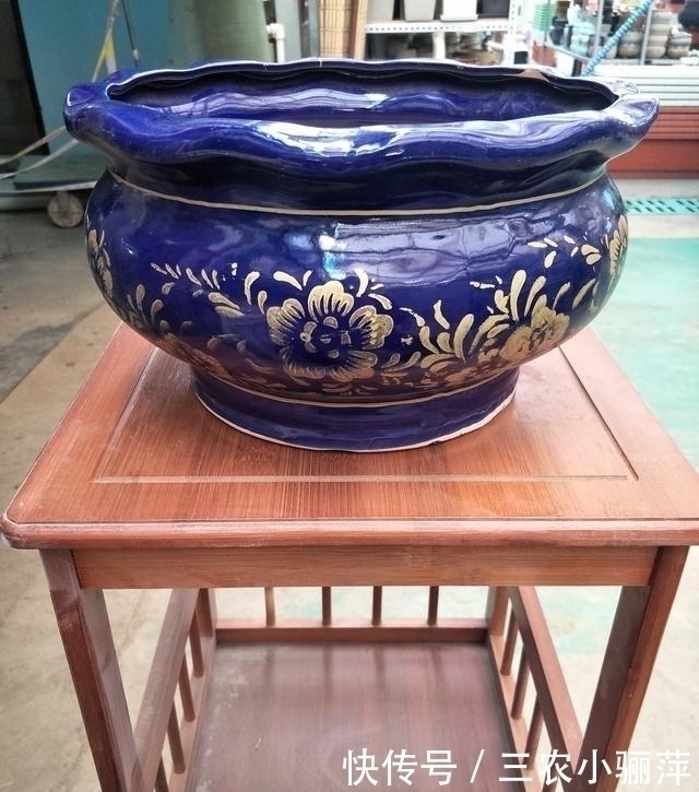 家中的花盆你选对了吗 每一种花盆都适合养什么, 千万不要乱用