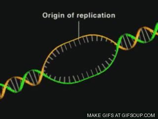 汇总|高中生物必修1-3考点汇总, 背诵与动图搭配! 强烈建议收藏！