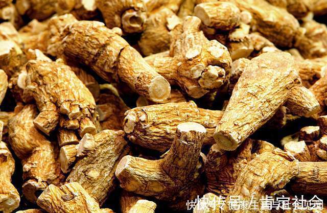 中医|中医补气有三宝:黄芪、人参、西洋参!告诉你怎么用