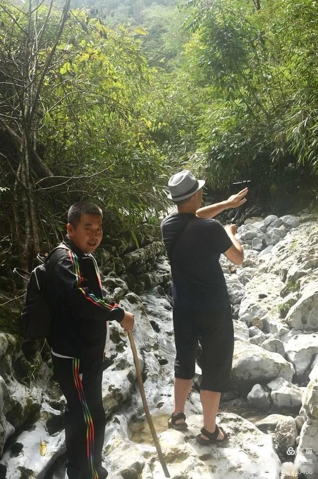 岩壁|探秘鬼斧神工的汉中“大屋基”地缝峡谷，秦巴深处的地质奇观