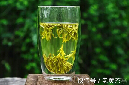 黄茶|这六种茶伤胃,胃不好少喝