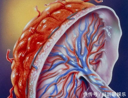 是真的吗|孩子出生后,“胎盘”怎么处理看看科学的处置方式,不再迷茫了