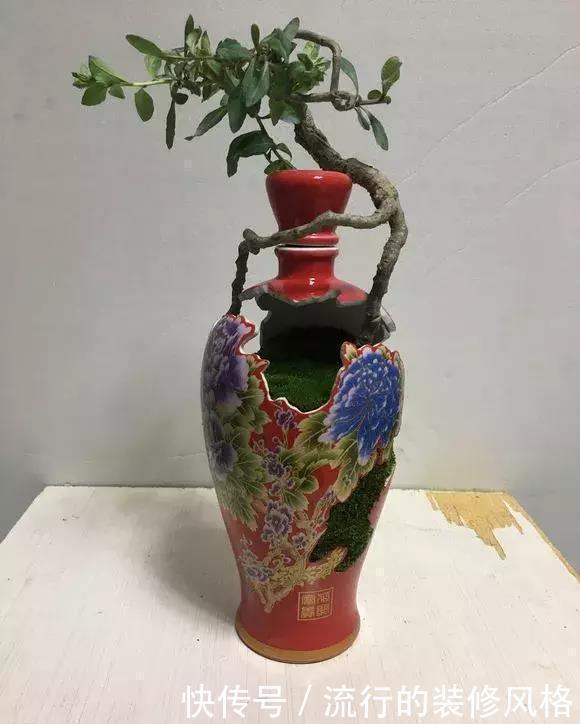 花盆还在买?一找一大堆,1毛钱不花,比买的花盆还要好