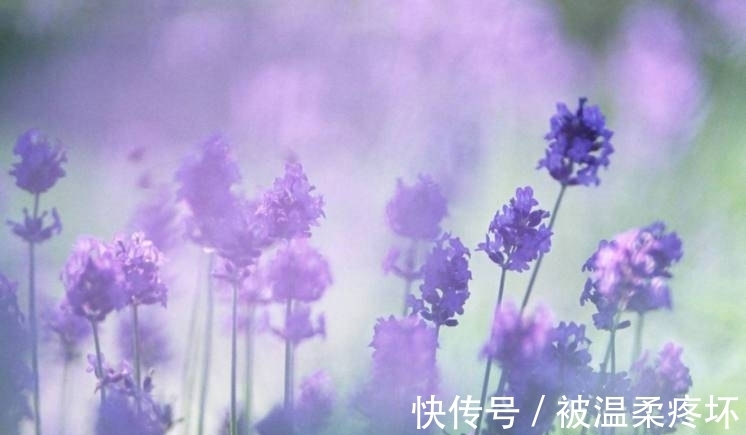 逆袭|属虎人!9·21日起财运大逆袭,够用2021年一整年,数钱到手软!