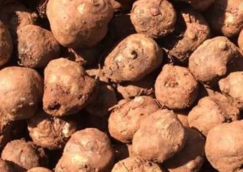 血糖|糖尿病“最怕”的4种食物,再穷也要经常吃,或血糖渐渐降下来