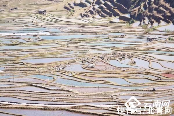 春天|绿春腊姑梯田：我和春天有个约会