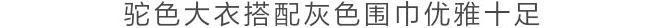 围巾 什么颜色的大衣,就搭什么围巾,这才是超实用的穿搭法