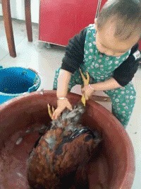 |搞笑GIF:好奇害死猫啊,而且还容易招打,哈哈哈