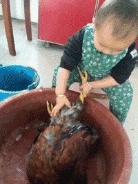 |搞笑GIF：好奇害死猫啊，而且还容易招打，哈哈哈