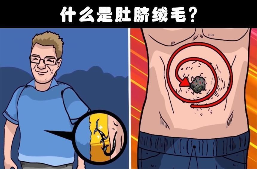 莫诺威|有趣事实这个世界上存在着的8个奇怪的冷知识
