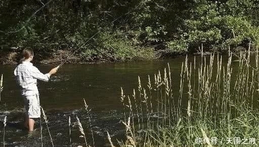 水草|初夏的鲫鱼实在是好钓，只需留意5小点，轻而易举的爆护