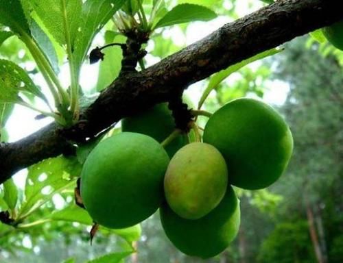 春天养生正当时，多吃3种食物，延缓衰老，减肥瘦身，早吃早好