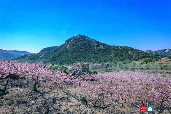 走在东港的春天里⑨：暮春之际｜不负春光不负景，淡云流水观“石老山”！