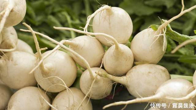 保存萝卜别放冰箱别埋土里，学会这一招，不烂不糠心，半年也不坏