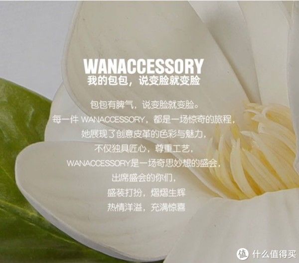 配饰|时不时就“变脸”的包包，你种草了吗？— 万寇WAN?ACCESSORY