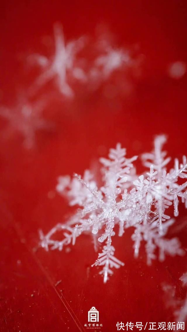 故宫|一夜梦回紫禁城!故宫雪景大片来了