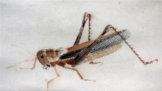 齐白石&齐白石画知了,以为是照片打印出来的,画得像活捉的一样