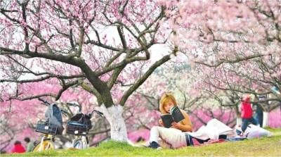 中年|赏梅、猜灯谜、逛花展、看汉味演出 武汉的公园今年年味特别浓