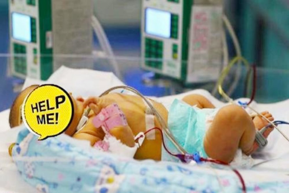 母乳|不想孩子生下来有“黄疸”，这3类食物，孕妇再馋也要管住嘴！