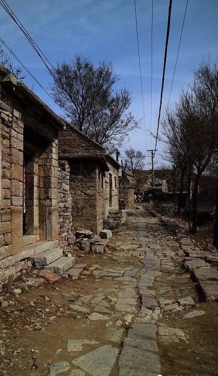 清净|清净的逯家岭村