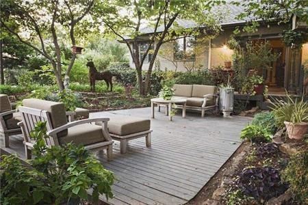 槐树|庭院十大吉祥之树是什么种对了一直富贵