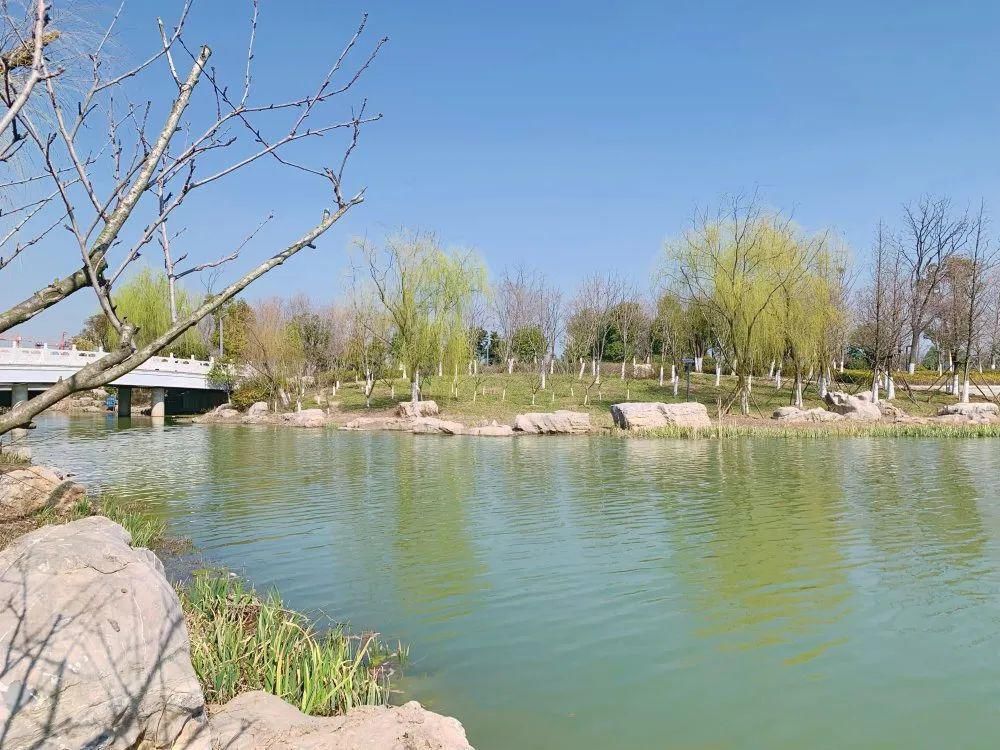 老年|春暖花开!阜城第一波春色来啦~