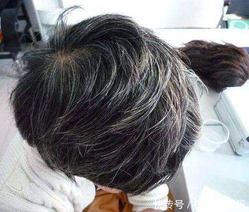 一味药补肝肾、强腰膝、壮筋骨、乌须发,名方二至丸中就有它!