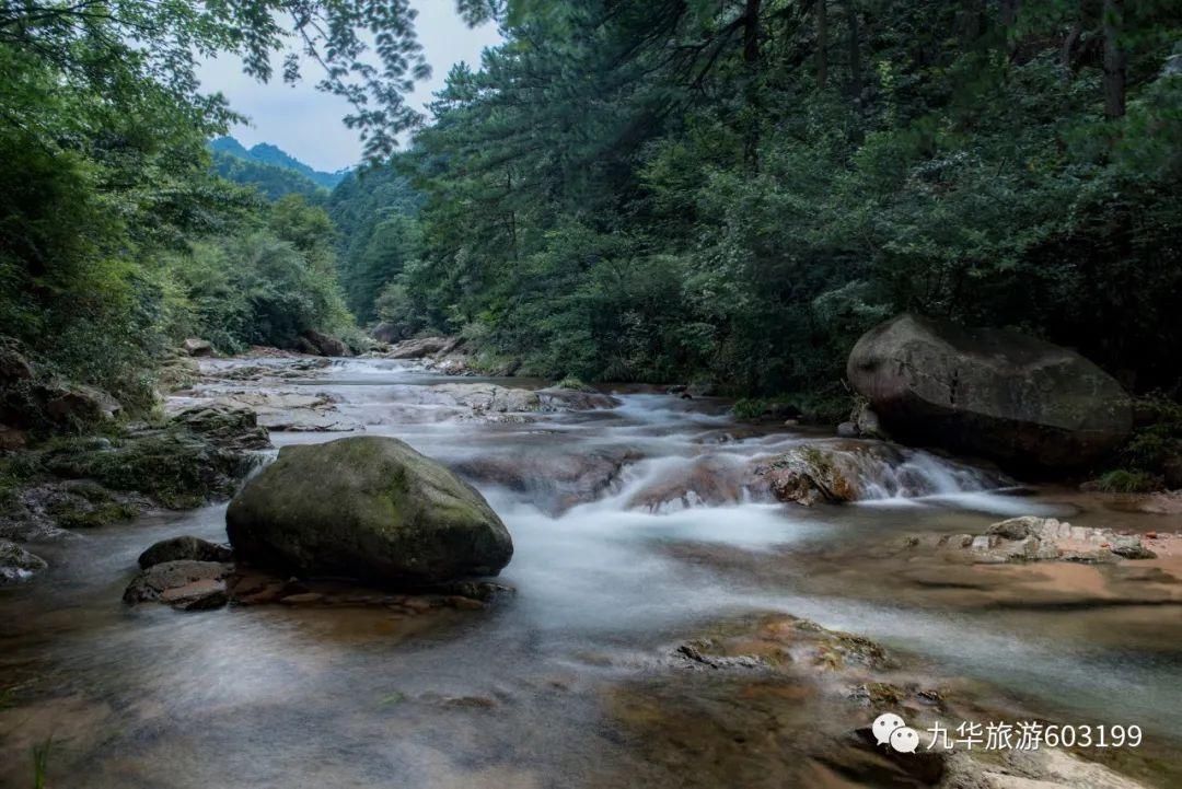 这个“五一”假日，来九华山呗