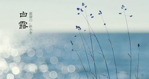 雪梨|明日白露，别忘吃“餐桌6宝”，顺应节气调整饮食，为秋冬打基础