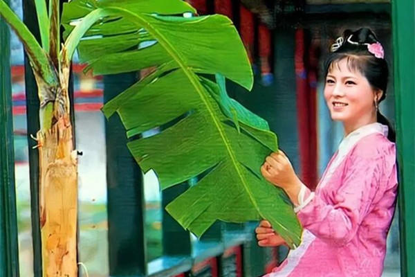 袭人&史湘云80回后做了秦淮歌女?袭人秘密送的玛瑙碟子:促成情断湘江