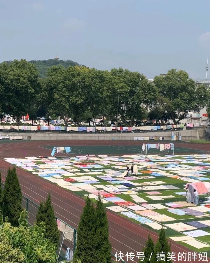 面条机|5个看似高大上,实际却是鸡肋的家居用品,别再交智商税了