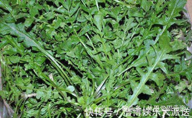 月经不调|女性月经不调,不妨多吃此菜,活血调经,远离妇科病,子宫更健康