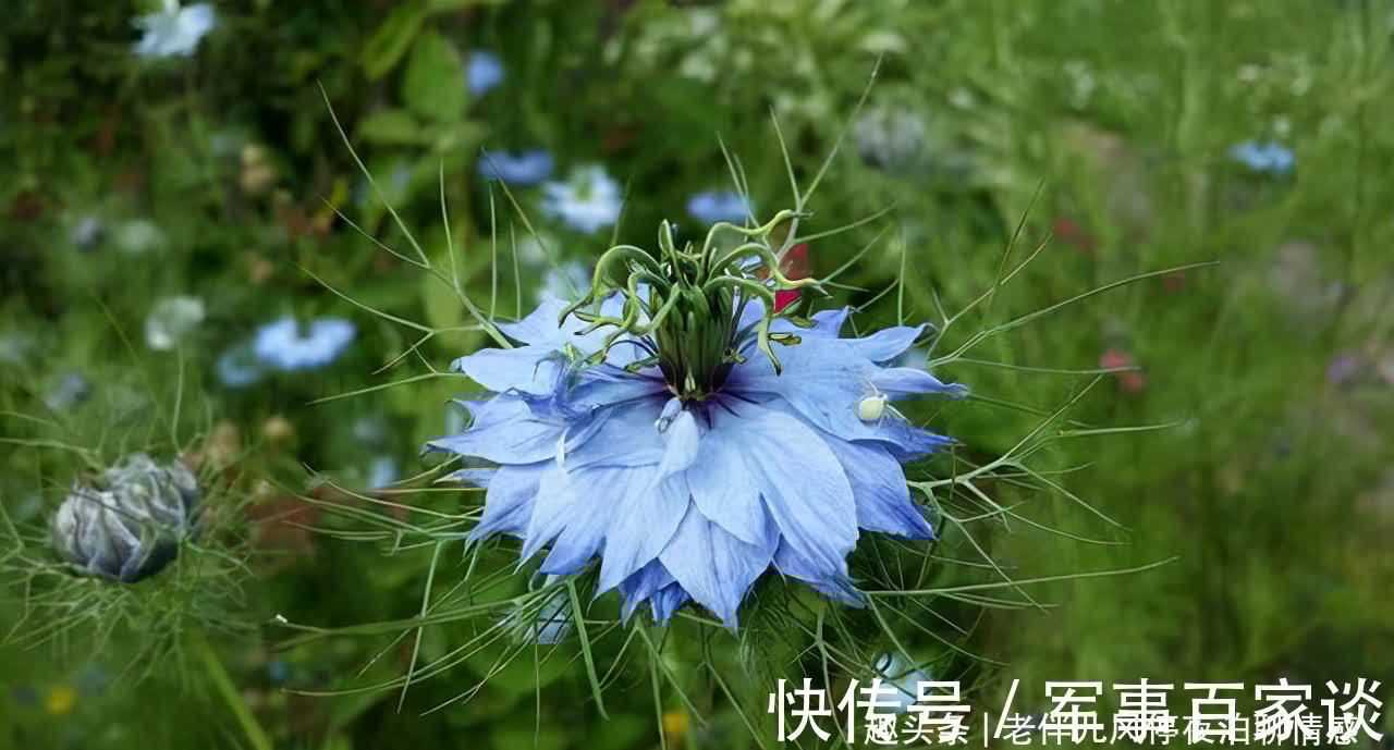 心态|熬过人生4大坎,必成大器!早懂早受益