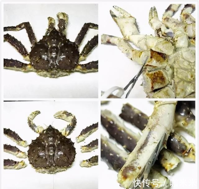 揭秘|揭秘俄罗斯帝王蟹:市场、新格局,鲜美食材背后有看不到的博弈