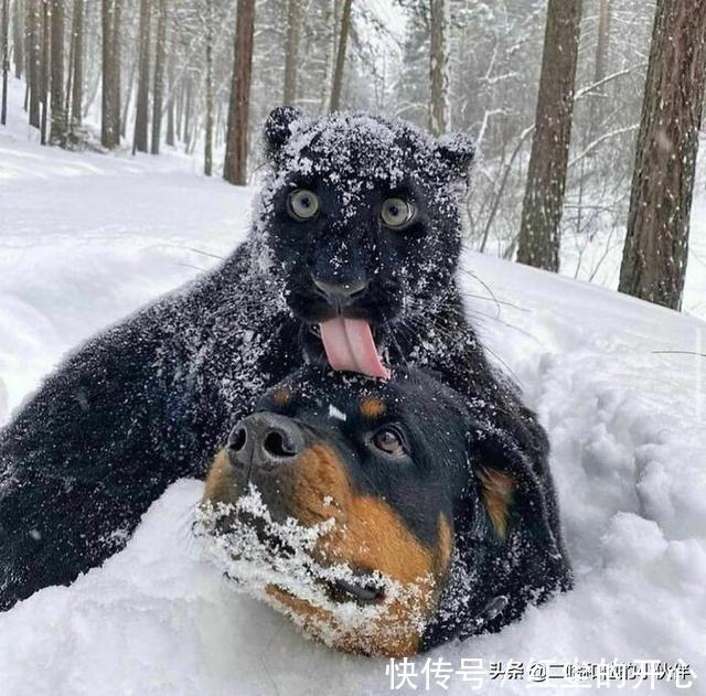 |网友分享的25个奇怪而搞笑的事情,你看过几件?